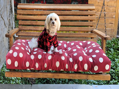 We take product picture for sell products online. But as a result of taking pictures with a high resolution camera very small dirt that cannot be seen with the naked eye that dirt looks so big. As a result, product images cannot be presented in online shops in this situation. So Fast Retoucher use different tools of Adobe Photoshop to make the product look attractive.